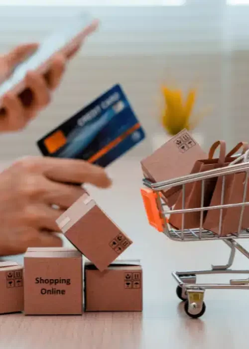 BLOG FORASTEIRO ONLINE - Negócios Online Tudo que você Precisa Saber