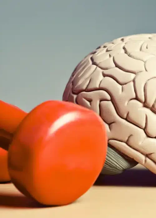 BLOG FORASTEIRO ONLINE - Saúde Física e Mental como equilibrar e ser um Empreendedor De Sucesso.