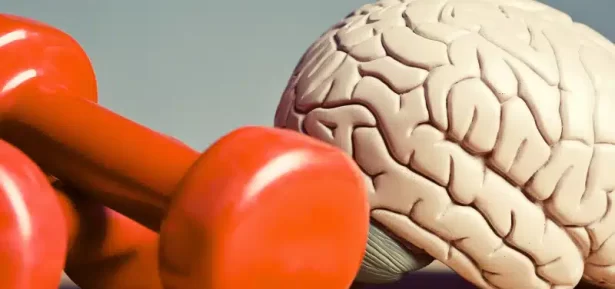 BLOG FORASTEIRO ONLINE - Saúde Física e Mental como equilibrar e ser um Empreendedor De Sucesso.