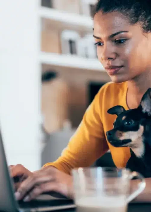 BLOG FORASTEIRO ONLINE - Trabalhar em casa 20 ideias para ter uma renda extra.