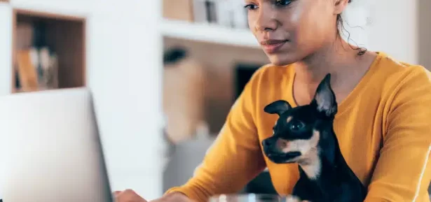 BLOG FORASTEIRO ONLINE - Trabalhar em casa 20 ideias para ter uma renda extra.