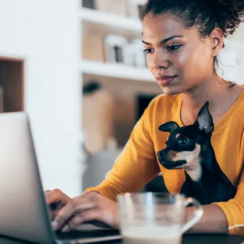 BLOG FORASTEIRO ONLINE - Trabalhar em casa 20 ideias para ter uma renda extra.