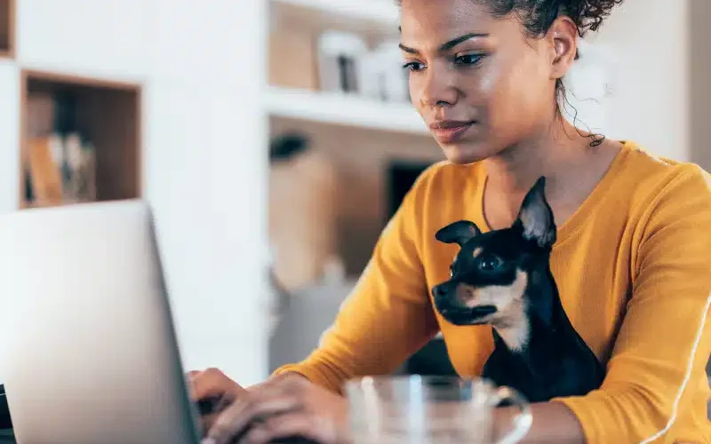 BLOG FORASTEIRO ONLINE - Trabalhar em casa 20 ideias para ter uma renda extra.
