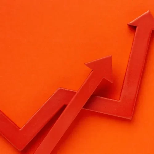 Forasteiro Online - Blog - Como Escolher um Nicho Lucrativo na Internet