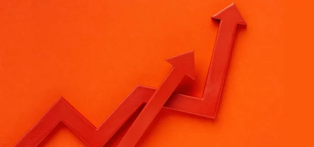 Forasteiro Online - Blog - Como Escolher um Nicho Lucrativo na Internet