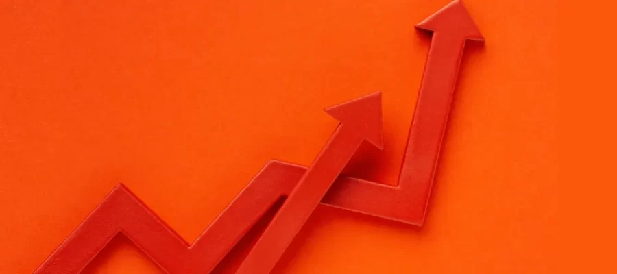 Forasteiro Online - Blog - Como Escolher um Nicho Lucrativo na Internet