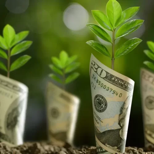 renda passiva internet, modelos de renda online, afiliados, AdSense e infoprodutos digitais