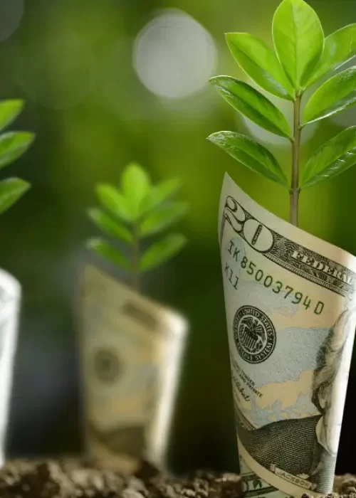 renda passiva internet, modelos de renda online, afiliados, AdSense e infoprodutos digitais