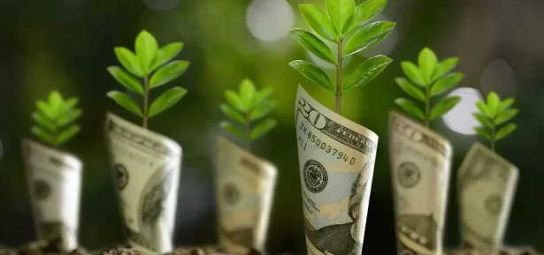 renda passiva internet, modelos de renda online, afiliados, AdSense e infoprodutos digitais