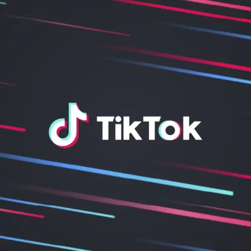 tiktok negócios iniciantes, como usar tiktok para vender, marketing no tiktok e crescimento orgânico