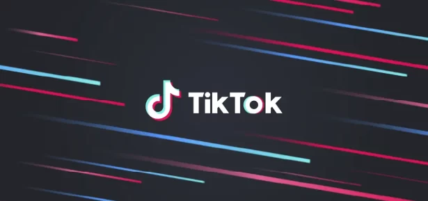 tiktok negócios iniciantes, como usar tiktok para vender, marketing no tiktok e crescimento orgânico